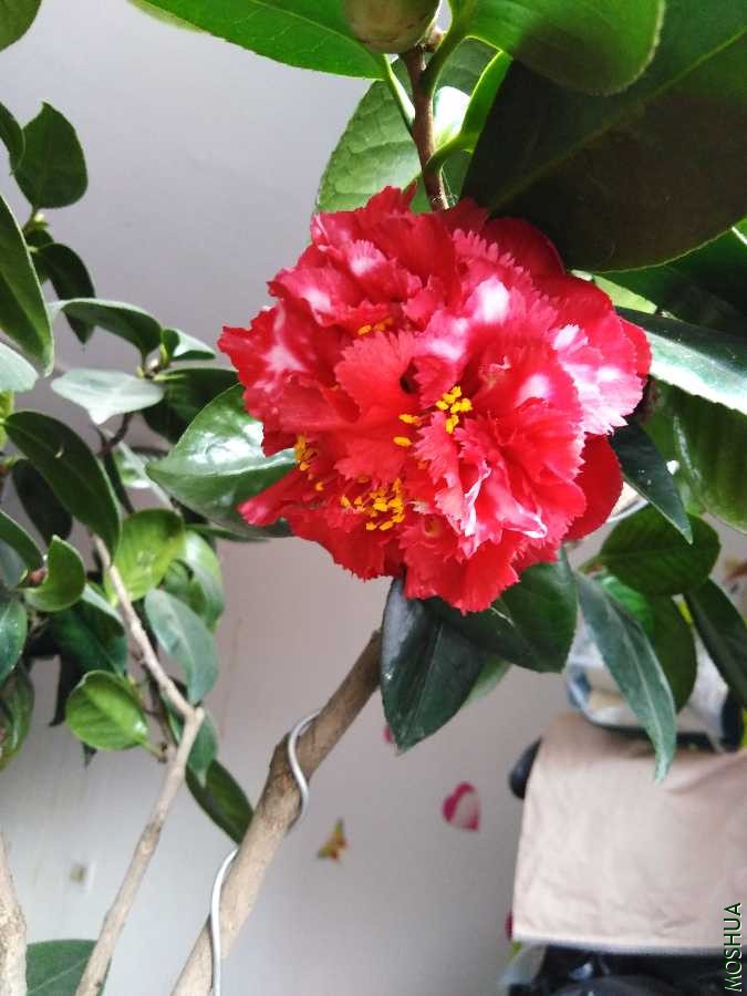 IMG_20200118_120014.jpg