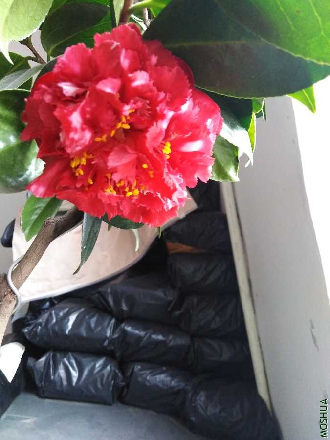IMG_20200118_115959.jpg