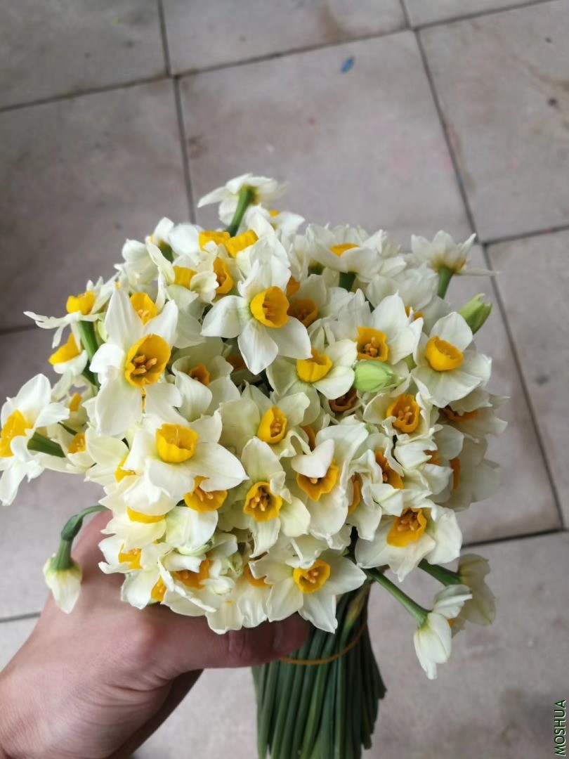 ΢��ͼƬ_20200124095910.jpg