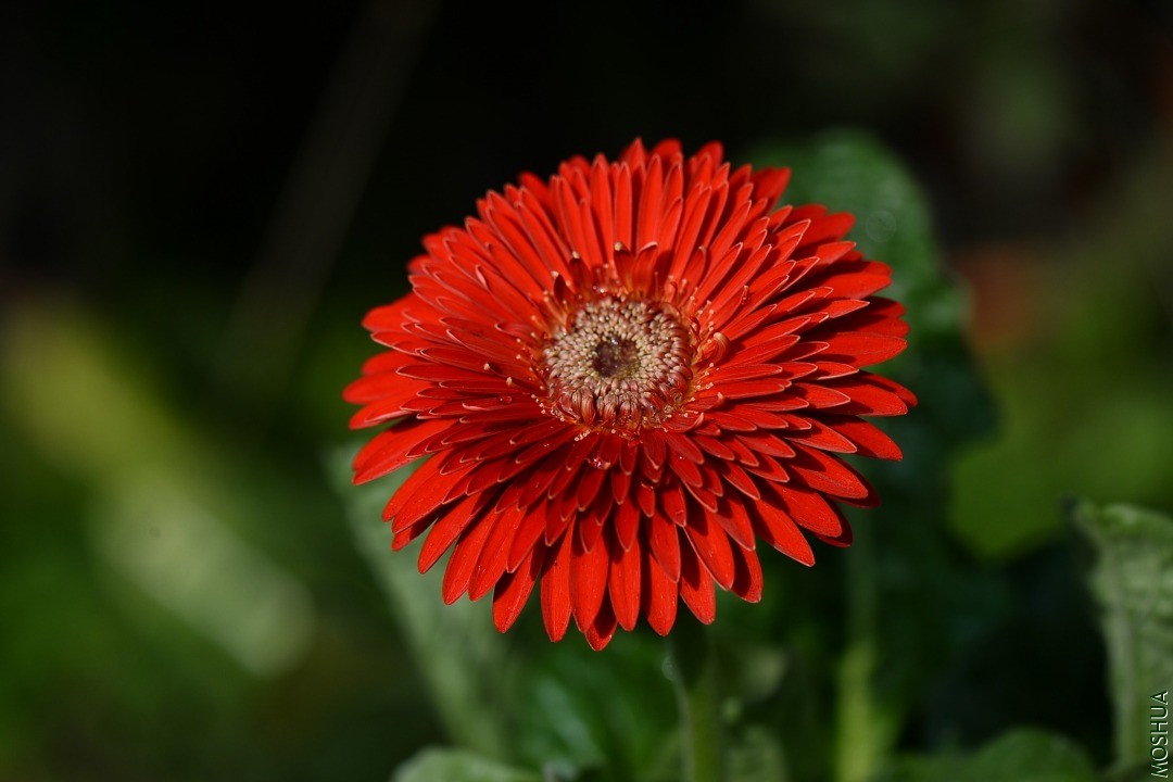 DSC_9350.JPG