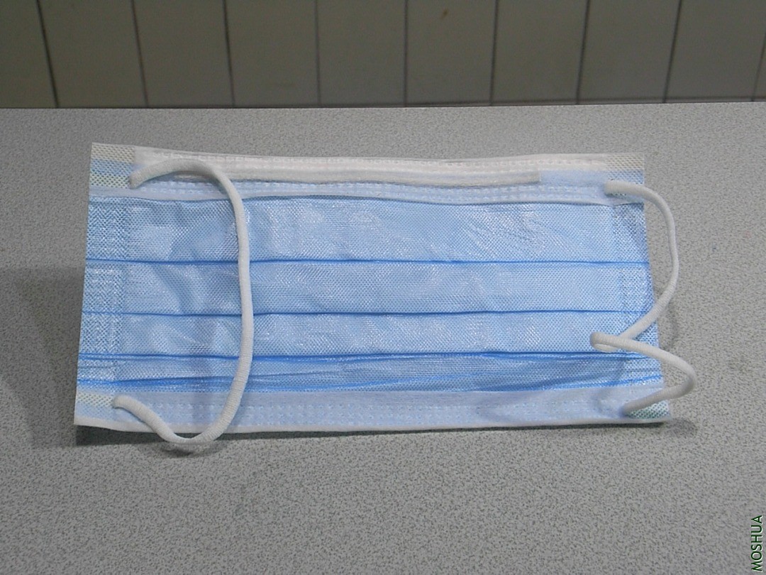 R9299433.JPG