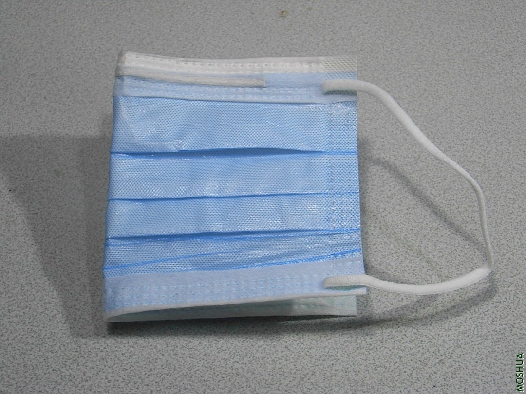 R9299434.JPG