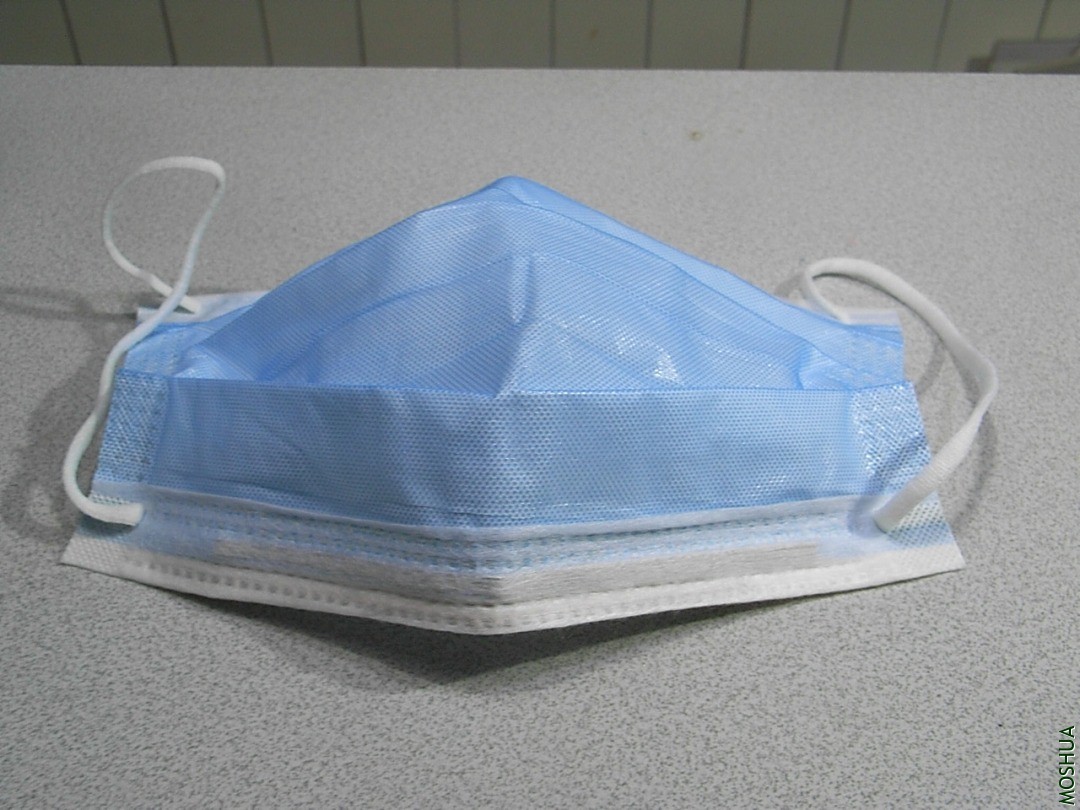 R9299436.JPG