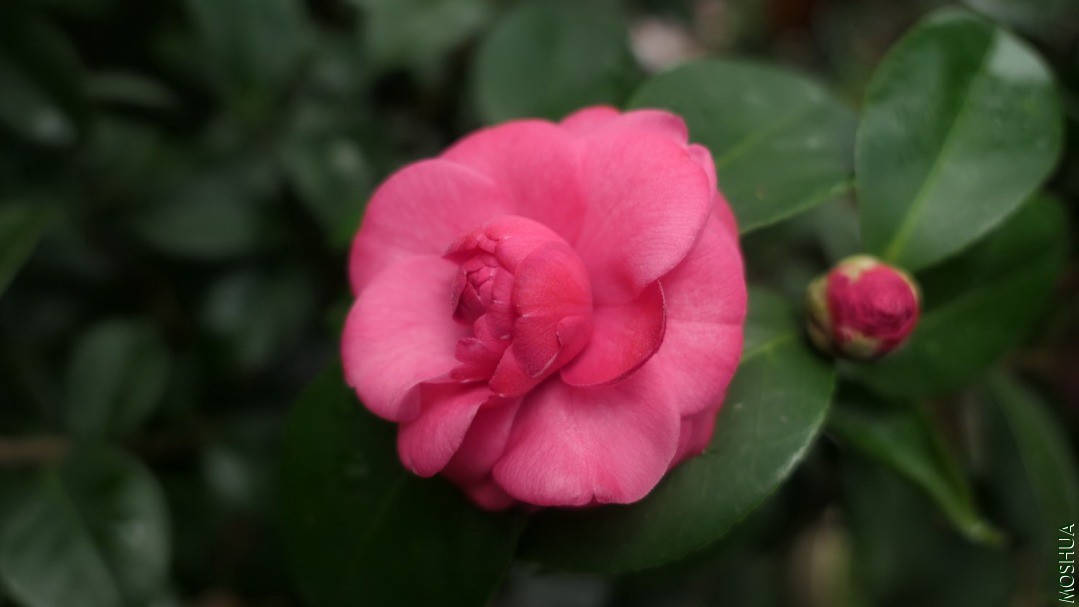 P2120089��ʮ��.jpg