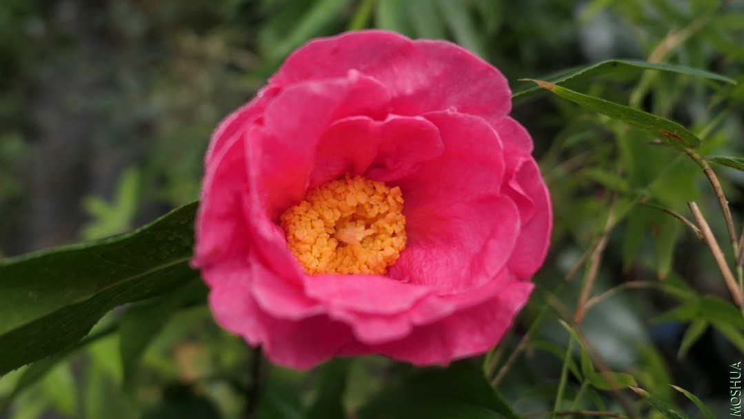 P2120159ʩ����.jpg