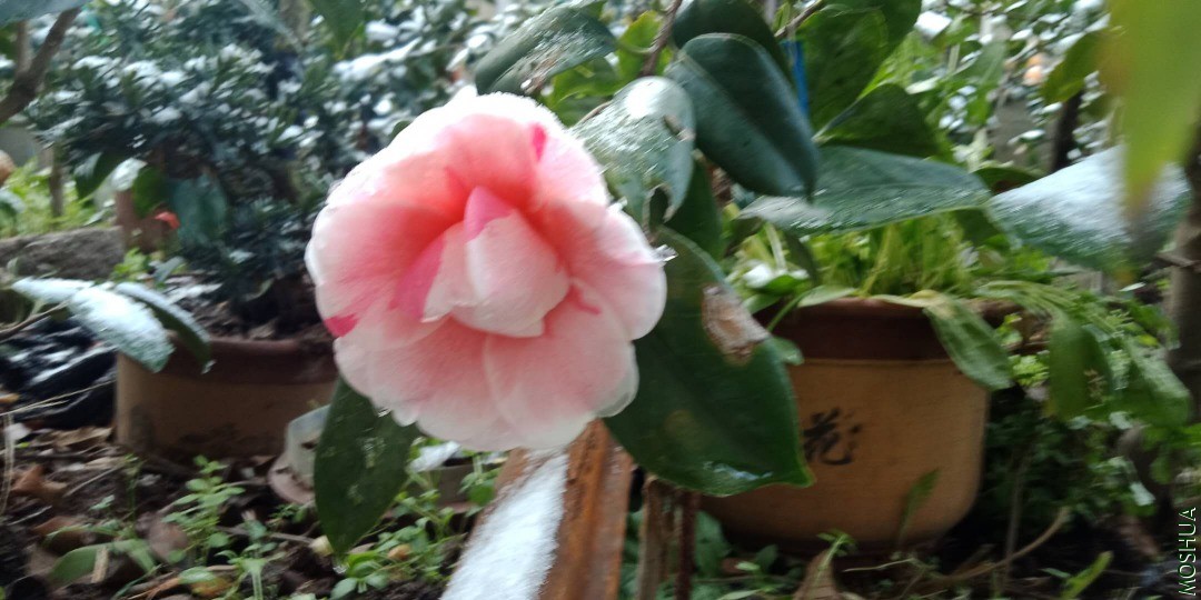 5d73579272c14fd9d51abb95eb35986.jpg