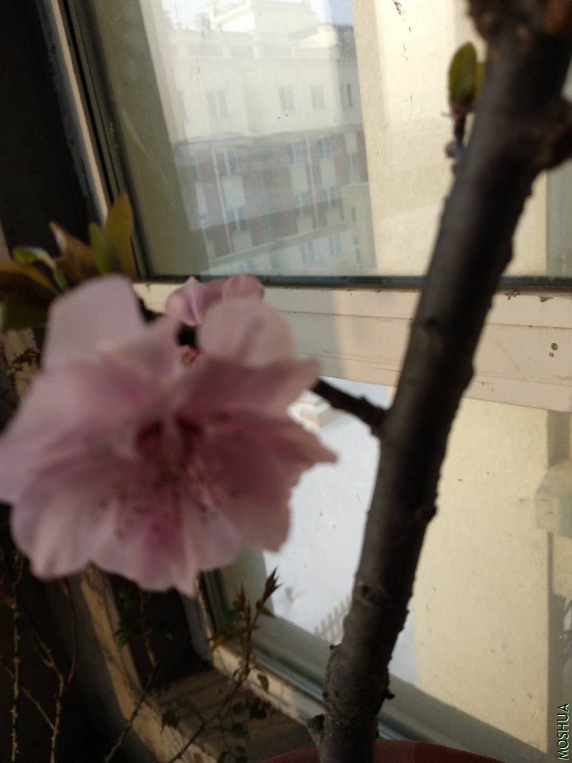 ΢��ͼƬ_20200301181744.jpg