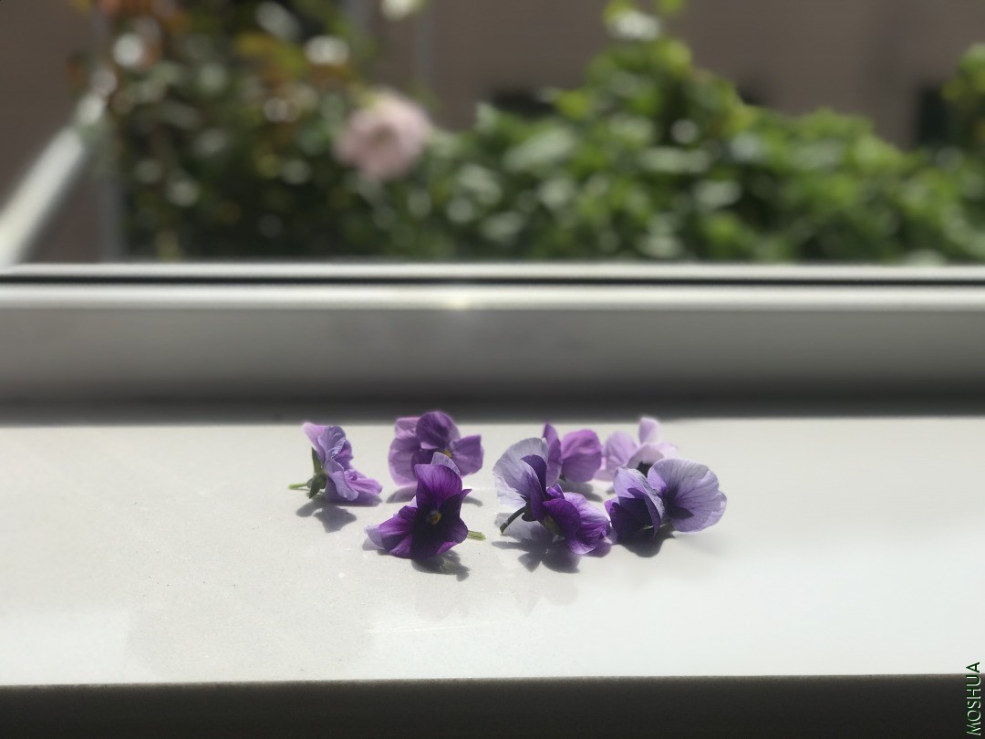 ��ô����һ�ŵĻ� ����������.jpg