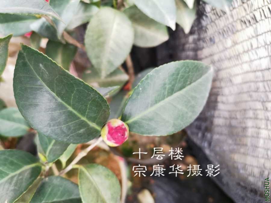 a1583147420295.jpg