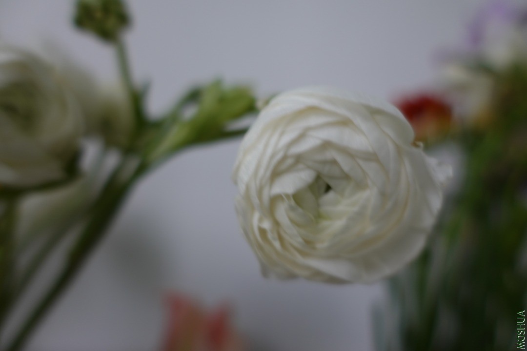 AD2192EC-ADB9-4318-B719-F38448ECE0C5.jpeg