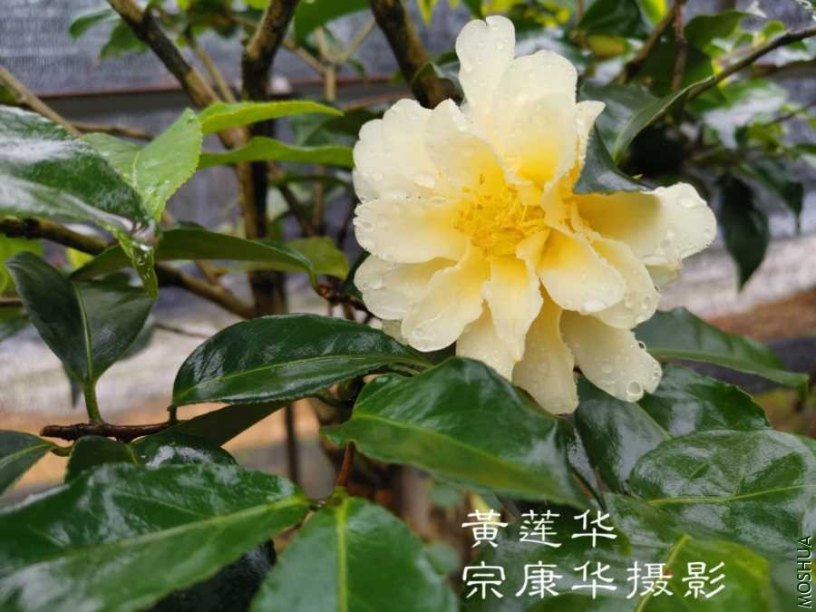 a1583303891248.jpg