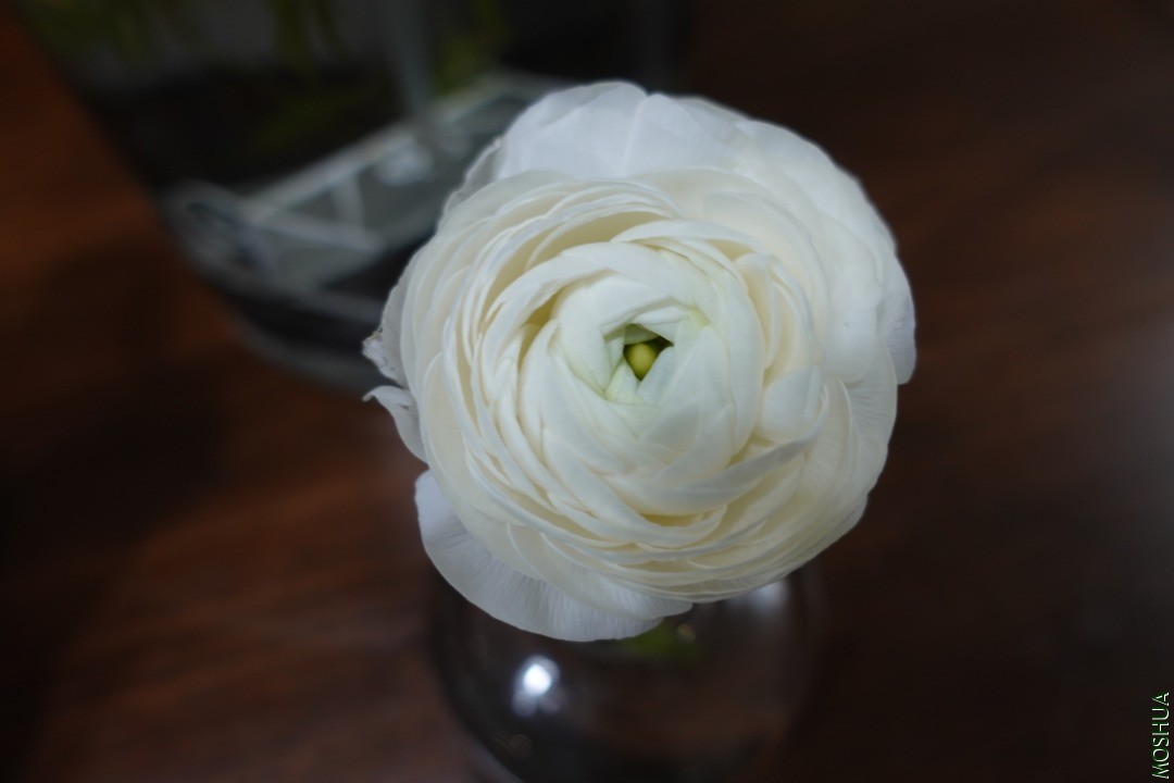 2D39C05D-49E8-47D9-84A4-8420F713A937.jpeg