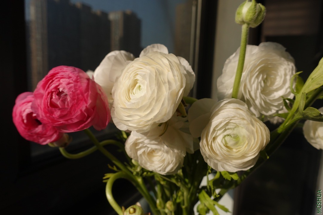 3E53486D-1163-4B6A-8020-B119E42036C1.jpeg