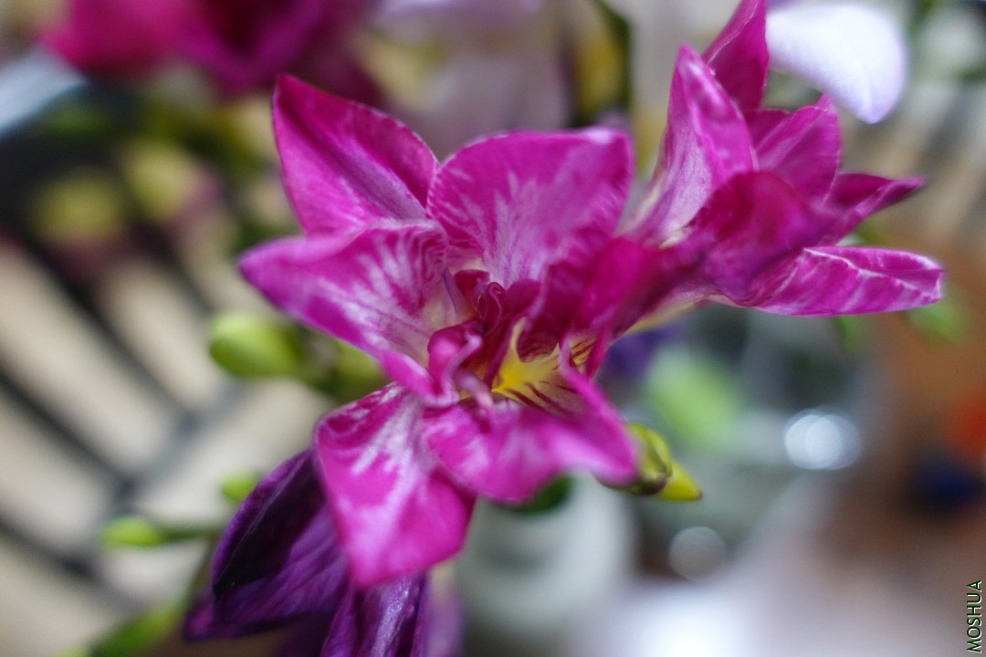 EA08AA9E-983F-449D-B886-A1CE75428348.jpeg