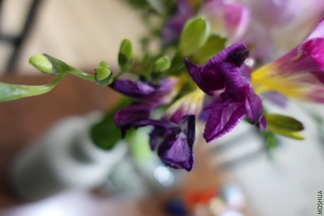 2F74D603-9DBC-4A76-A58C-3722DD01C997.jpeg
