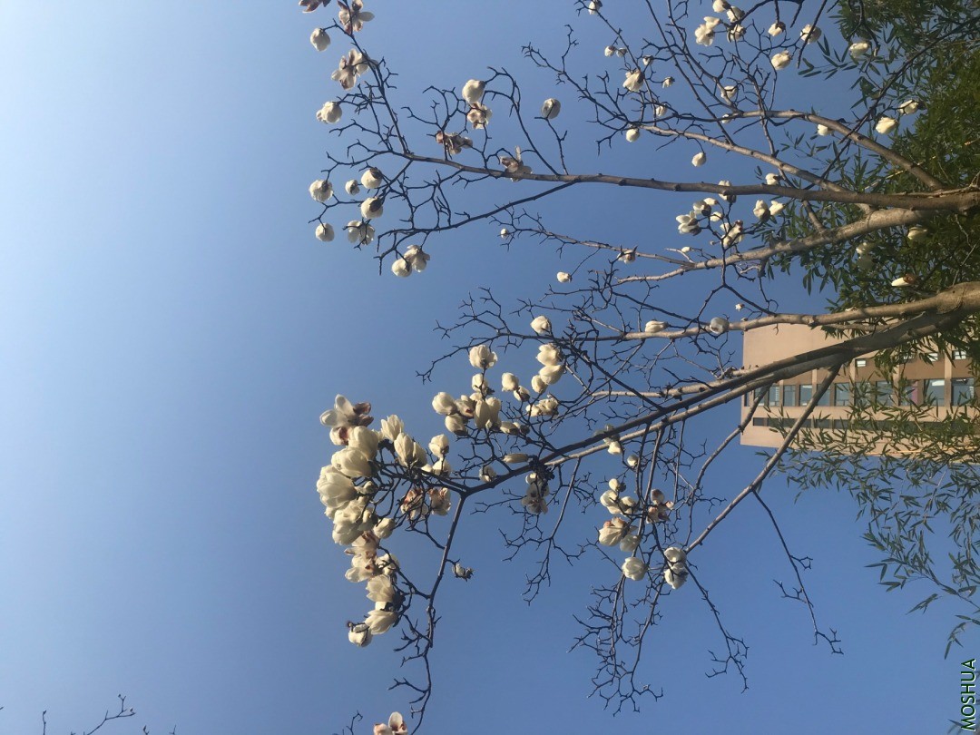 268AB71F-68AD-488B-9041-033C4F5B6C70.jpeg