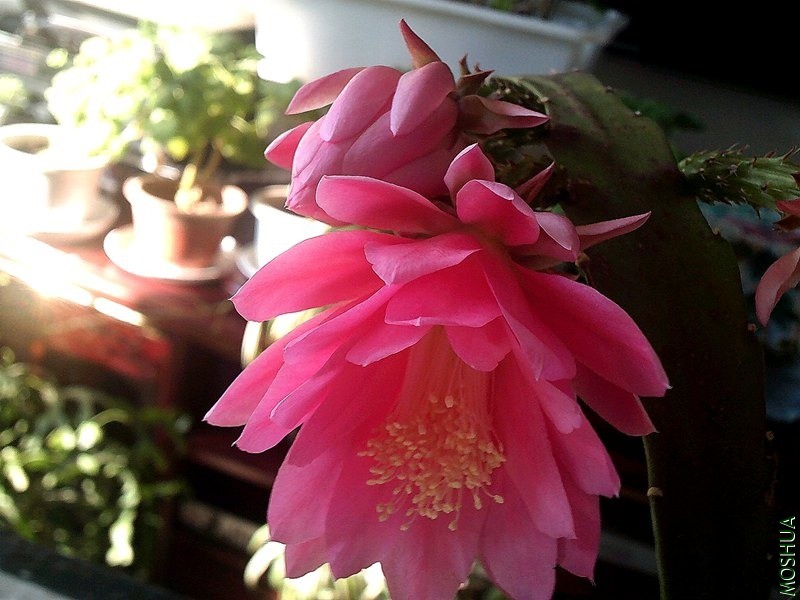 DSCF0008_����.jpg