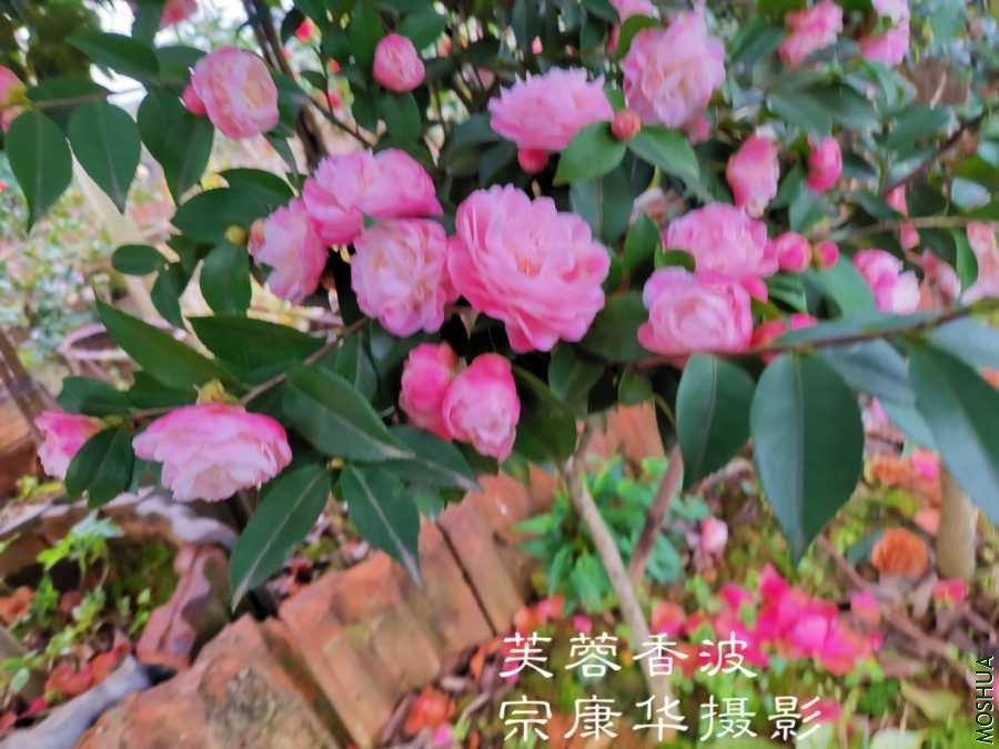 a1583462513179.jpg