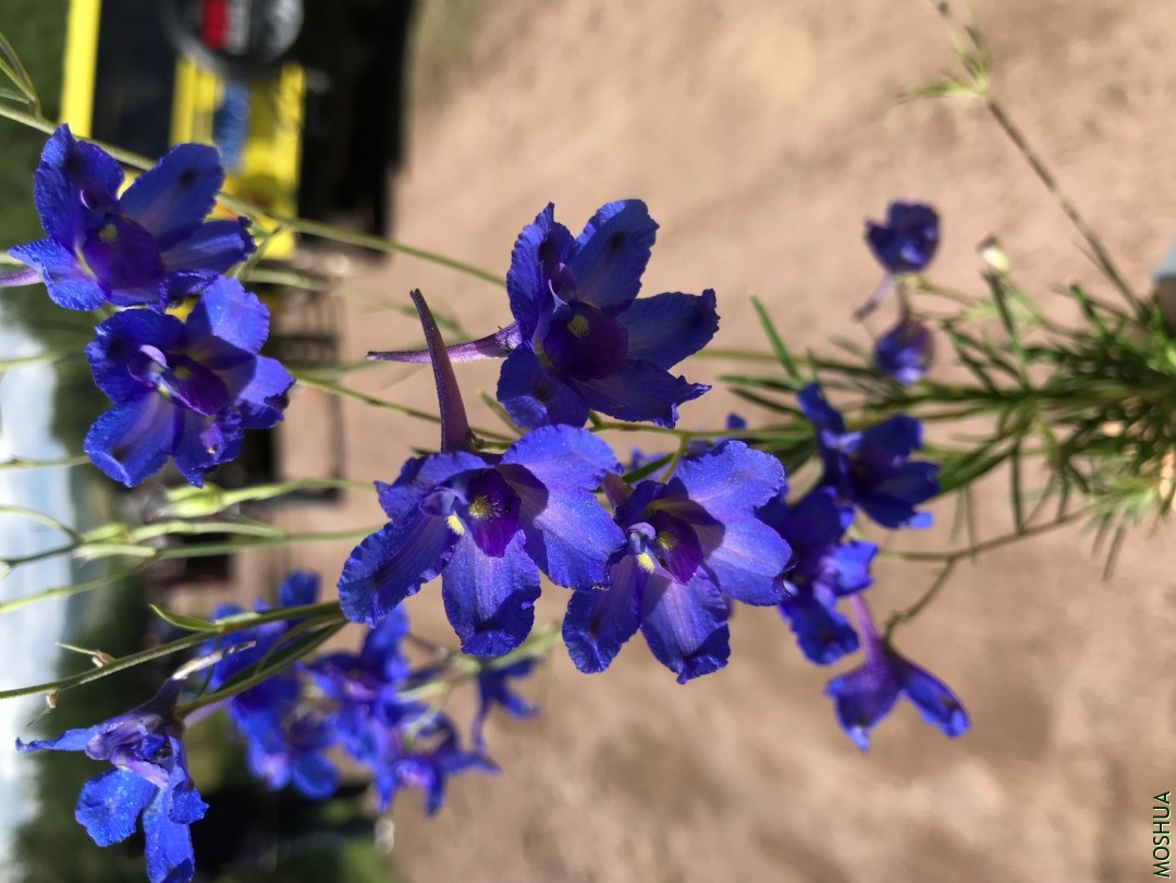 A33D2675-F123-4A8B-BF50-B960165B05CC.jpeg