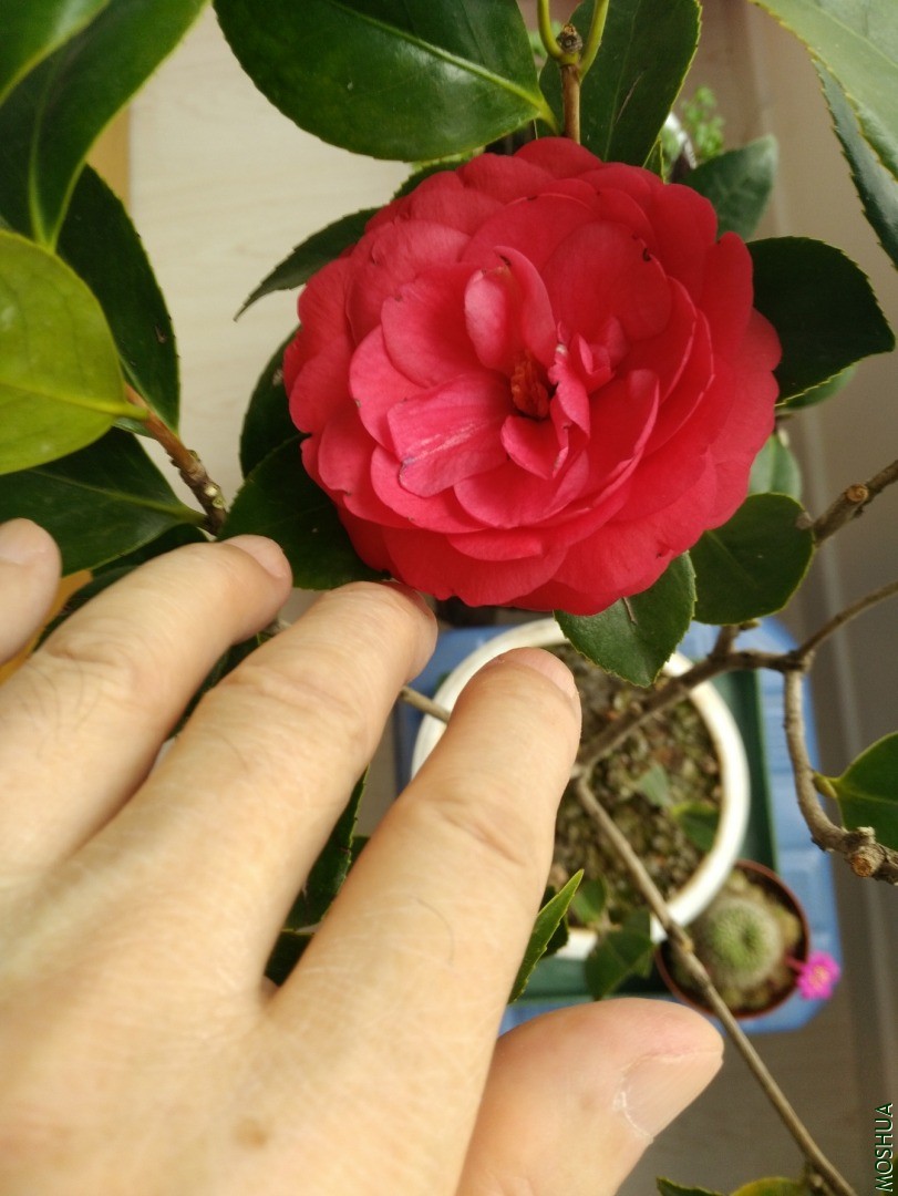 IMG_0027.jpg