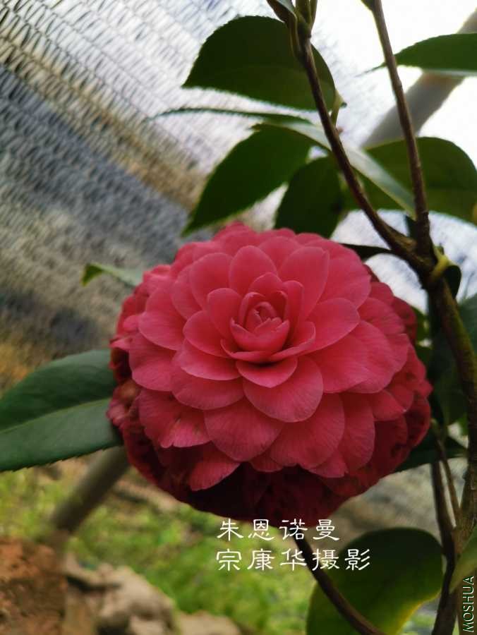 a1583833354503.jpg