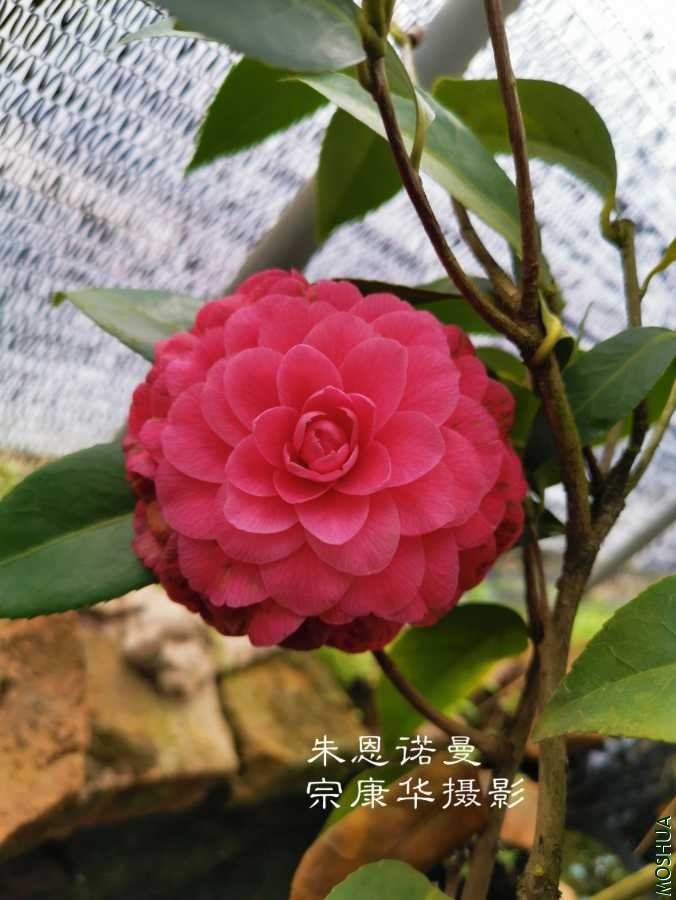 a1583833354136.jpg