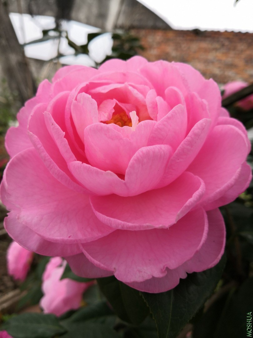 IMG_20200302_140804.jpg