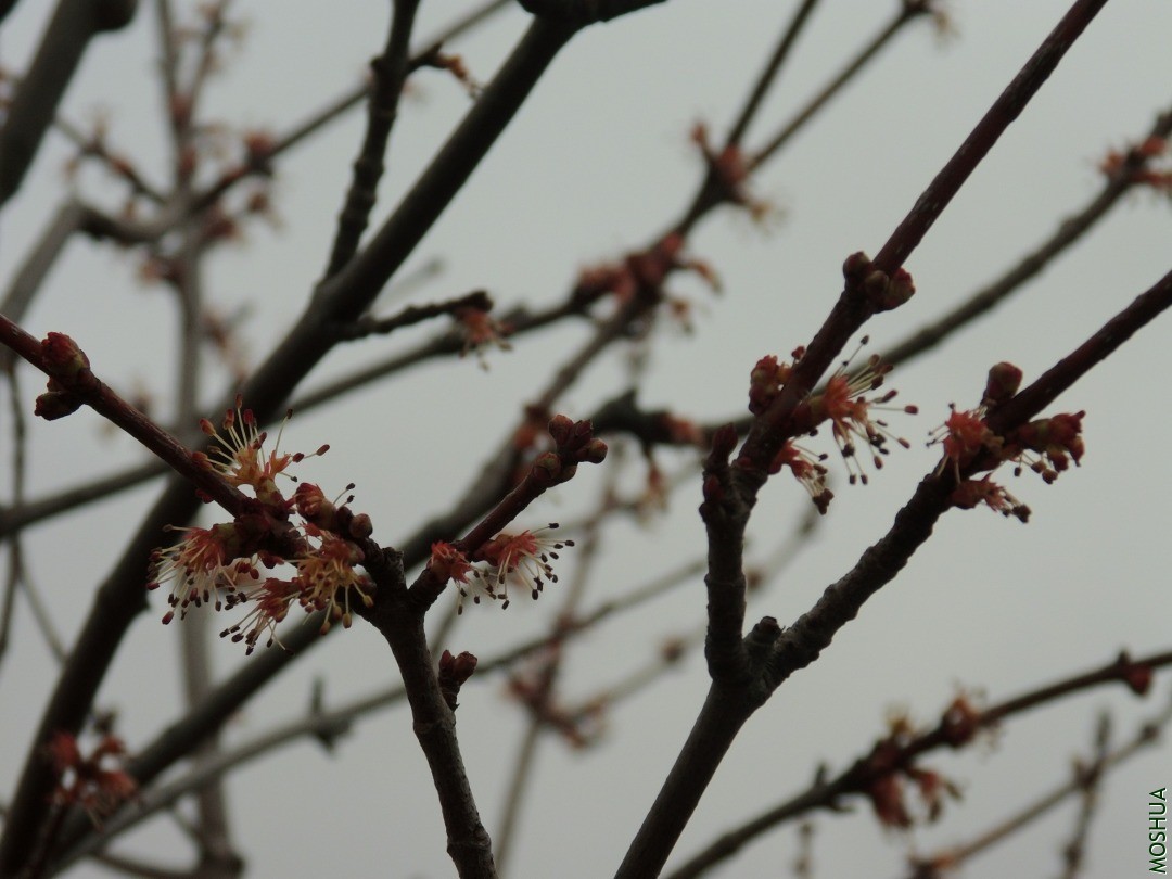 DSCI8750.JPG