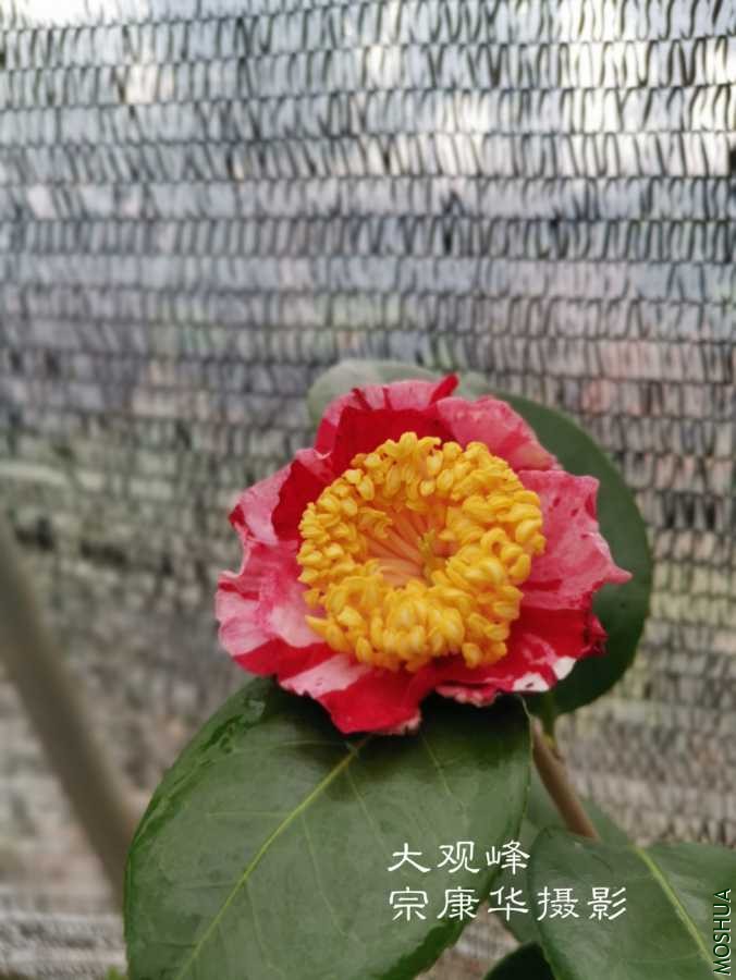 a1584101811967.jpg