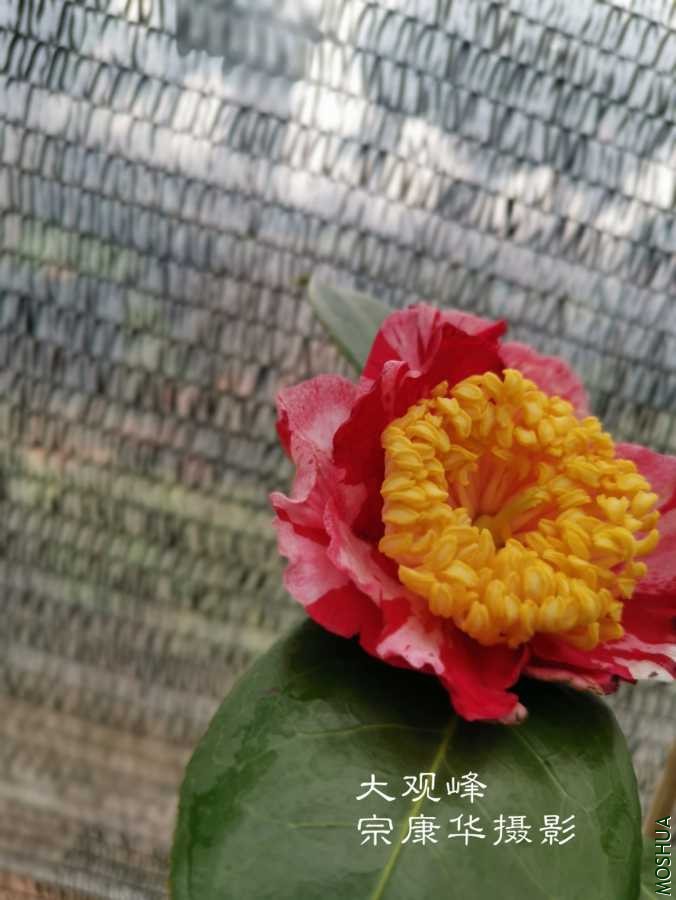a1584101812356.jpg