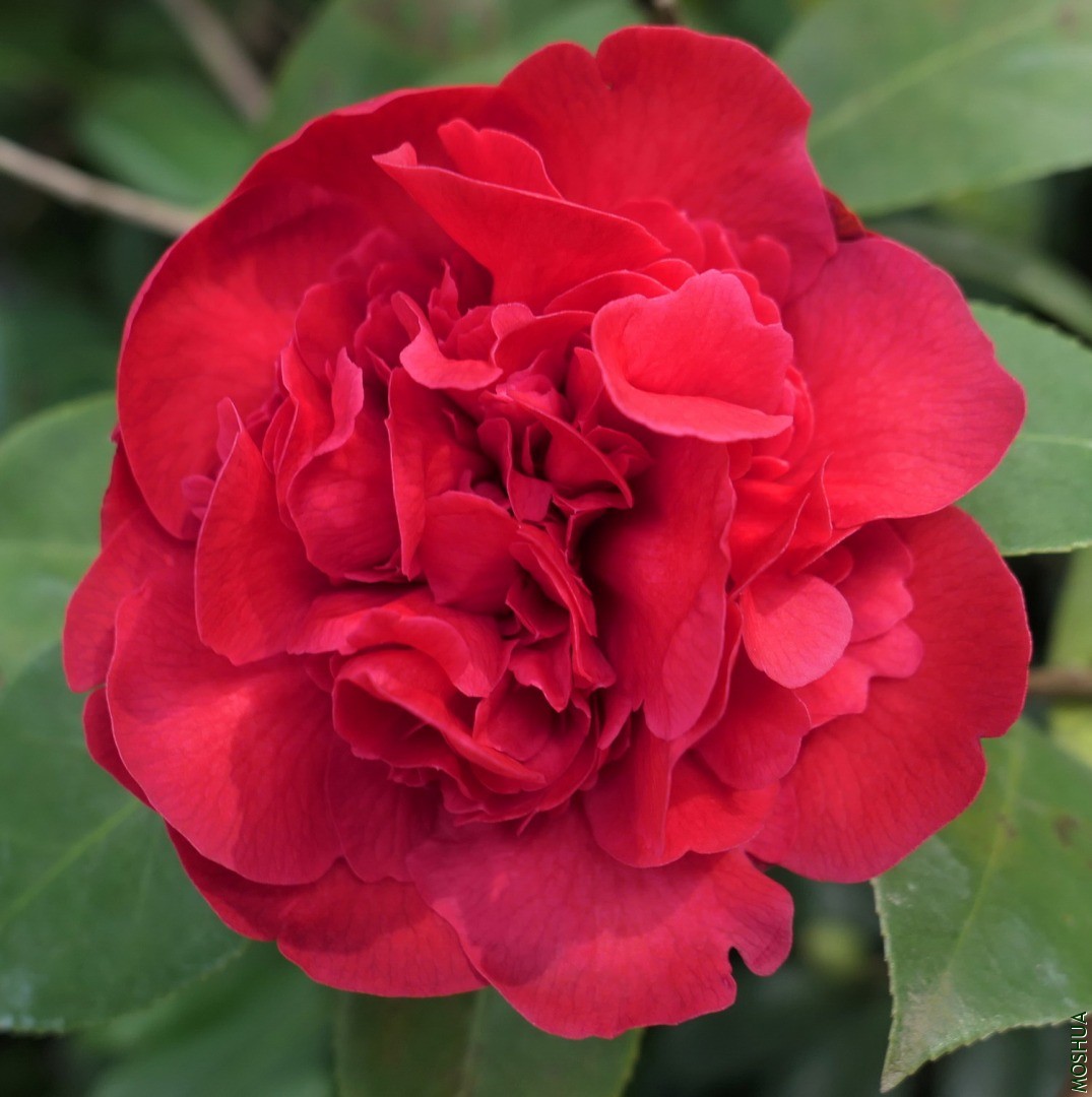 P2280449�Ͻ��.jpg
