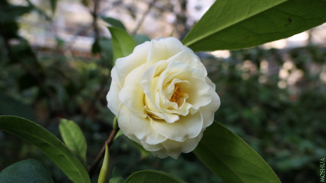 P2280899�Ƶ�����.jpg