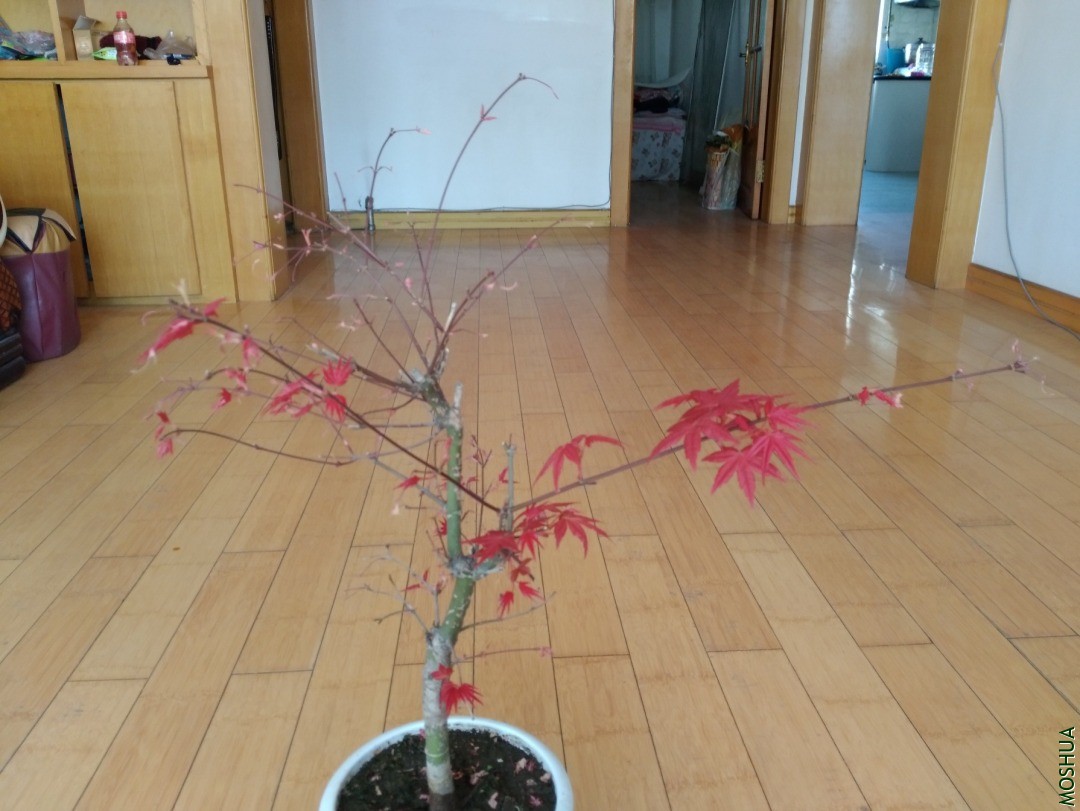 IMG_20200314_085839.jpg