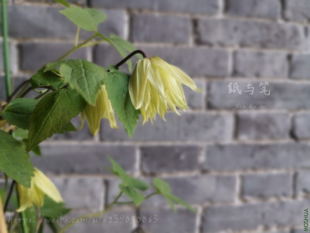 2ec5195a9ff2fbeccb4ccdbfb0cb43a.jpg