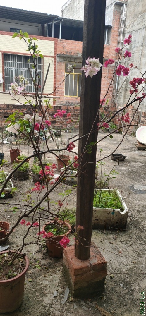 wx_camera_1584247924194.jpg