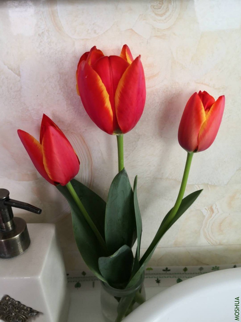 ΢��ͼƬ_20200316101040.jpg