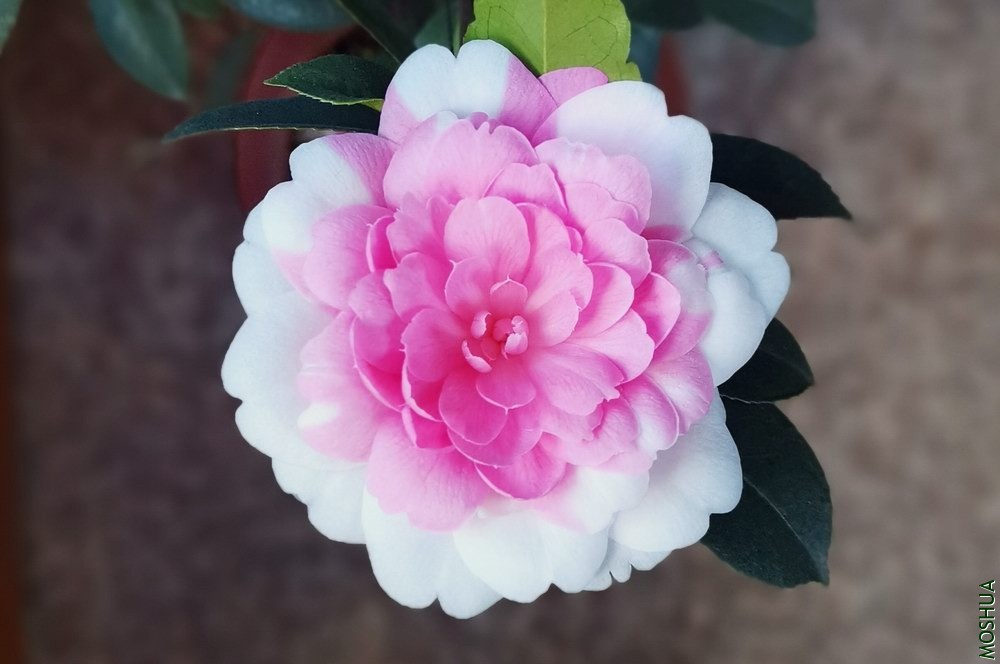 ���غ�˹ (67).jpg