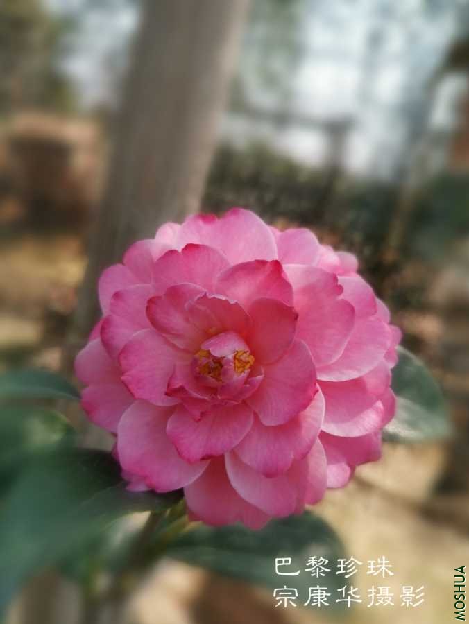a1584531732564.jpg