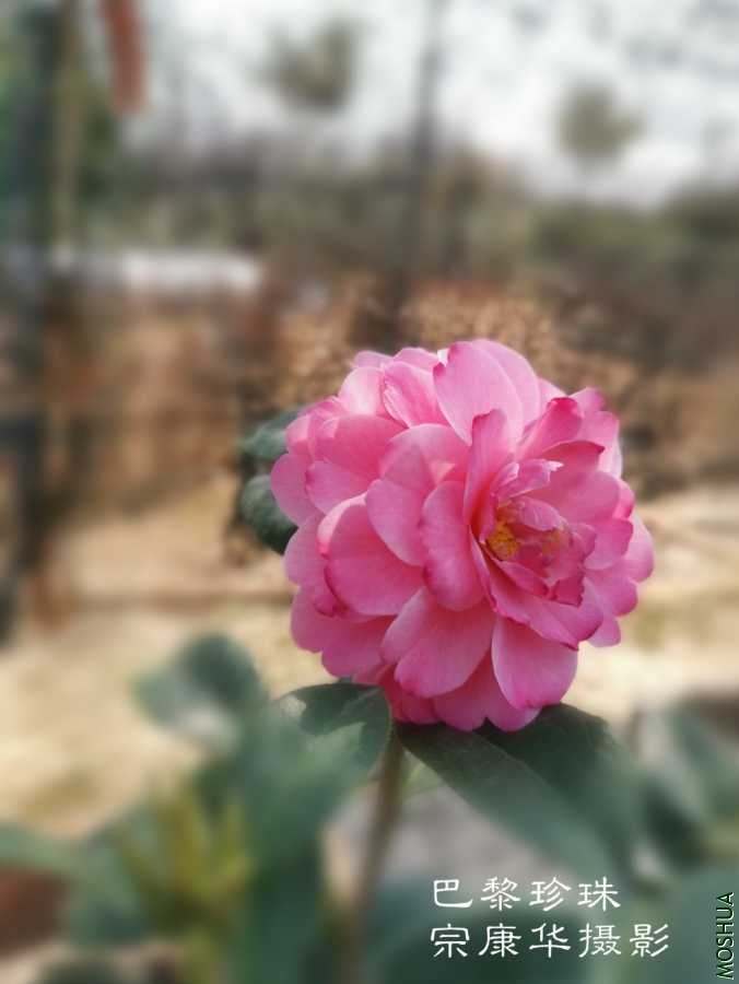 a1584531732733.jpg