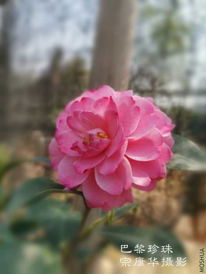 a1584531733066.jpg