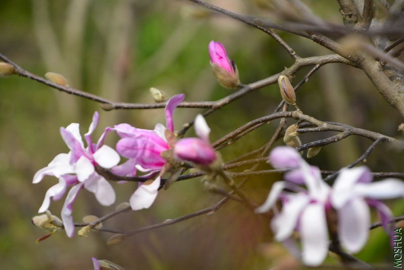 _DSC88740057.JPG