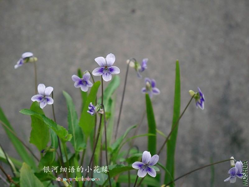 P1000642_����.jpg