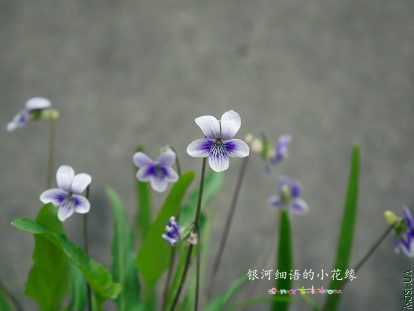 P1000643_����.jpg