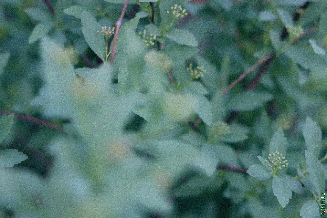 IMG_3047.jpg