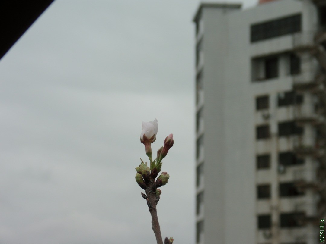 DSCI9001.JPG