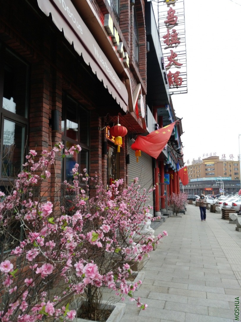 IMG_20200326_080426.jpg