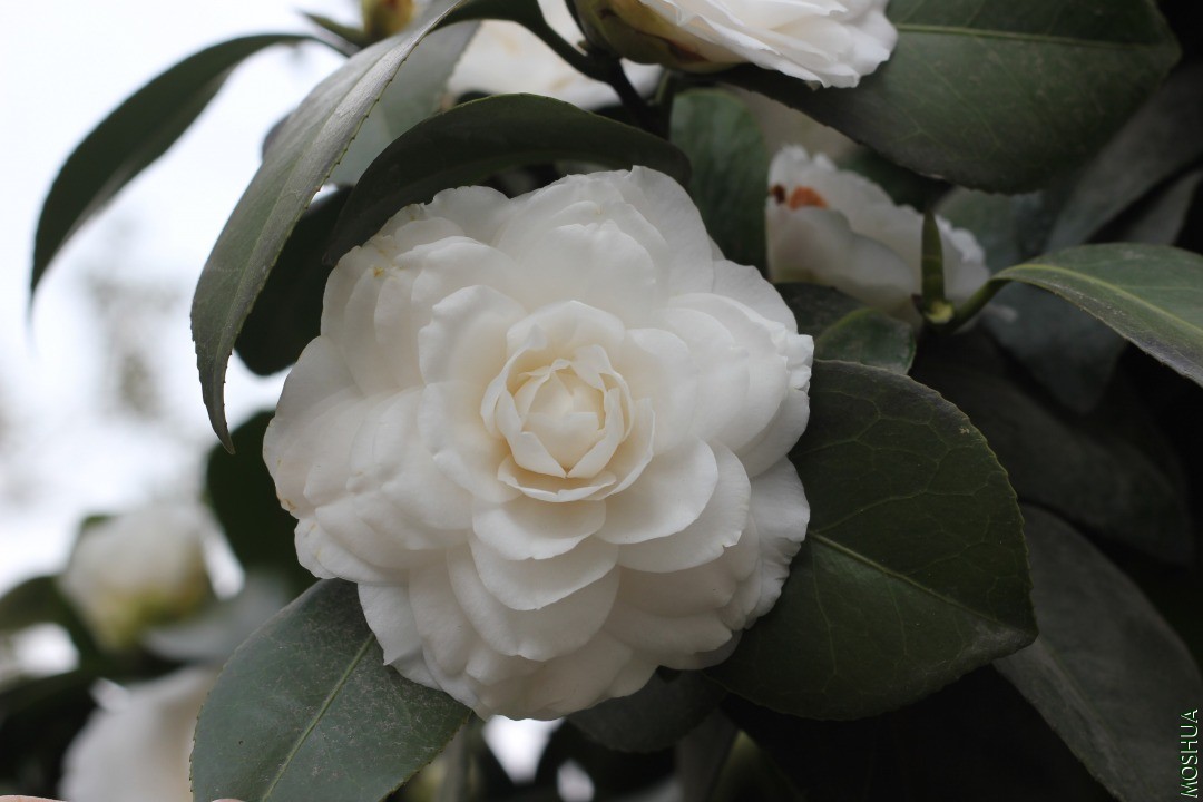 ���ǰ� (2).JPG