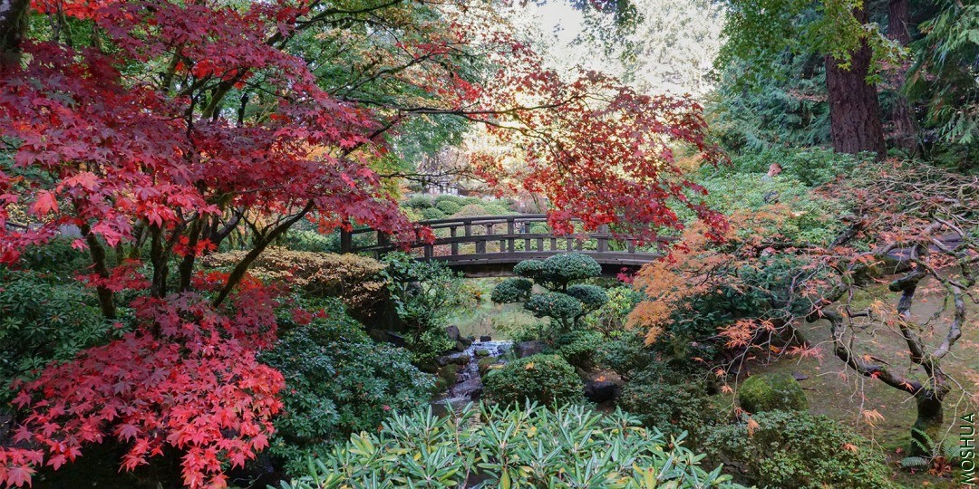 Early-November-Portland-Japanese-Garden-Photos-by-Tyler-Quinn-2018-11-02-DSC0158.jpg