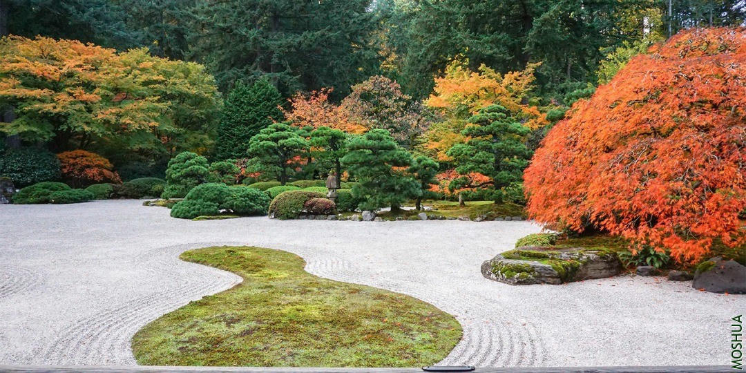Early-November-Portland-Japanese-Garden-Photos-by-Tyler-Quinn-2018-11-02-DSC0159.jpg