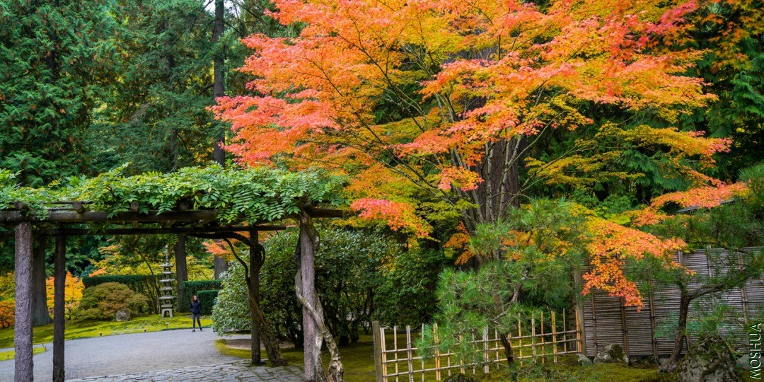 Fall-Colors-LR-20191015-by-Chris-Ruggles-21-1600x800.jpg